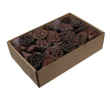 Lotus 2-3cm naturel 100pcs