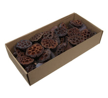 Lotus 3-5cm naturel 100pcs