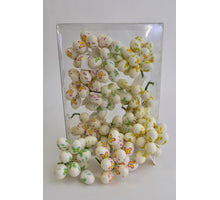 Doos Vlindereitjes - 120 Stuks