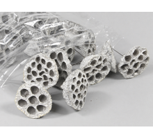 Lotus 3-5cm on wire 10cm white-wash 100pcs