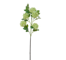 Viburnum l75cm licht groen