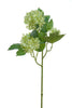 Viburnum l45cm light green