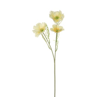 Cosmos l65cm yellow