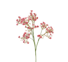 Gypsophila l70cm oud roze