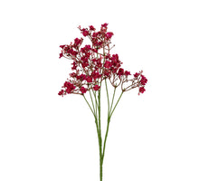 Gypsophila l70cm cerise