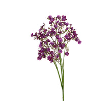 Gypsophila l70cm paars