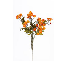 Margrietje l60cm oranje