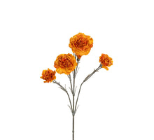 Dianthus l60cm geel