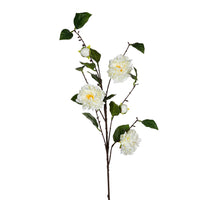 Camellia l95cm creme