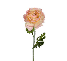 Ranonkel l50cm zalm