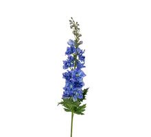 Delphinium l78cm blauw