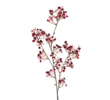 Gypsophila l105cm burgundy