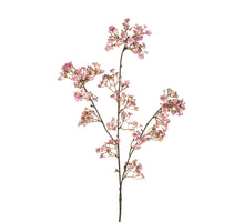 Gypsophila l105cm mauve