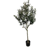 Olive tree op stam 150 cm w/berry green