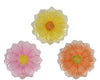 Glass breakfast plate, 3 assorted colours, dia23cm x h2.5cm