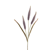 Pennisetum l92cm lilac