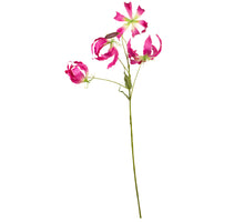 Gloriosa l95cm cerise