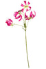 Gloriosa l95cm cerise