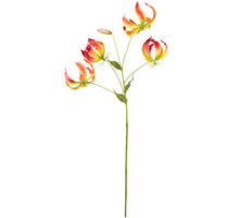 Gloriosa l95cm oranje