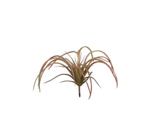Tillandsia lXXcm groen/rood