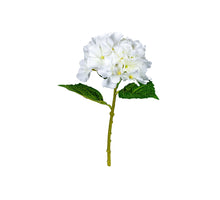 Hortensia l32cm wit