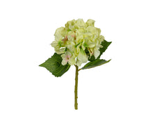 Hortensia l32cm groen