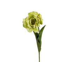 Papegaaitulp l66cm groen