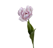 Papegaaitulp l66cm lila