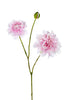 Dahlia L80cm Pink