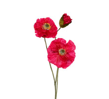 Papaver x3 l76cm cerise