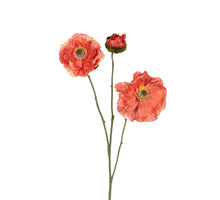 Poppy x3 l76cm coral