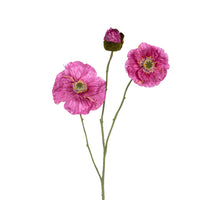 Poppy x3 l76cm mauve