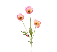 Papaver x4 l60cm roze