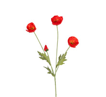 Papaver x4 l60cm rood