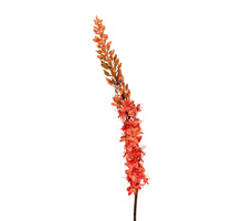 Eremurus l105cm orange
