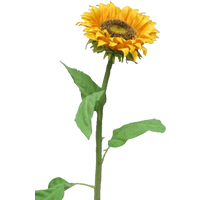 Sunflower Tuscany yellow medium 77cm