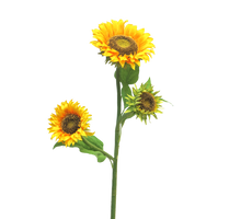 Sunflowers Tuscany yellow x3 85cm