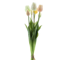 Real Touch Classic tulip bundle Sally x7 nw yellow/green combo 47cm