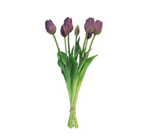 Classic tulip bundle Sally x7 eggplant 47cm