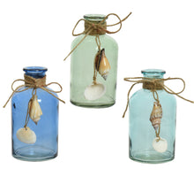 Glass vase with shell, 3 assorted colours, H13 D6.6cm