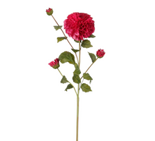 Dahlia bordeaux Real Touch - l78cm