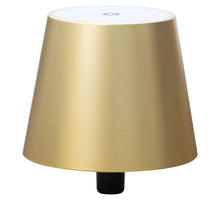 FLESSENLAMP 10X8CM GOUD USB OPLAADBAAR/ DIMBAAR