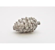 Dennenappel polystone 7 cm grijs