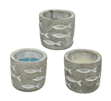 Citronella Kerzenwachs 3 Farben sortiert H7 T7.5cm