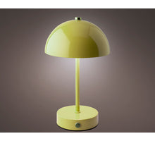 LED oplaadbare lamp metaal binnen groen/warm wit d15 H25cm