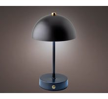 LED oplaadbare lamp metaal binnen zwart/warm wit d15 H25cm