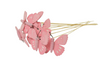 Pak á 10 Vlinder roze hout op 50cm stok