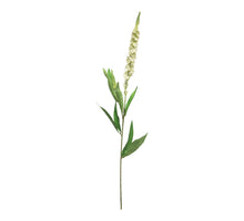 Veronica spray white 76cm