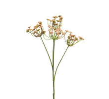 Anethum spray pink 68cm