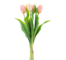 Holland Tulip Sally X5 pink 36cm